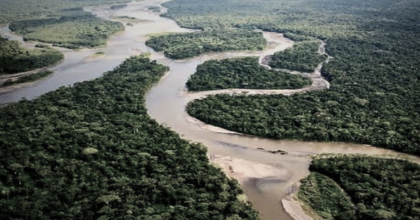 Portada: Amazonía desaparecería en 2050 y consecuencias serían catastróficas, alertan científicos