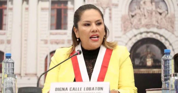 Digna Calle, desde Estados Unidos, pidió que no le quiten la Comisión de la Mujer