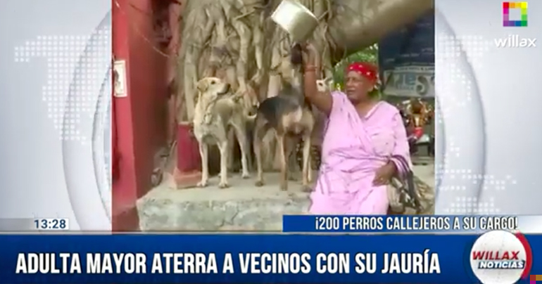 Mujer con 200 perros callejeros aterra a sus vecinos en la India