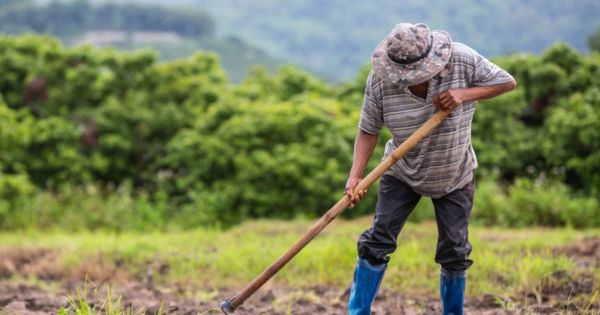 Portada: El sector agrícola será uno de los más afectados con la llegada del Fenómeno del Niño