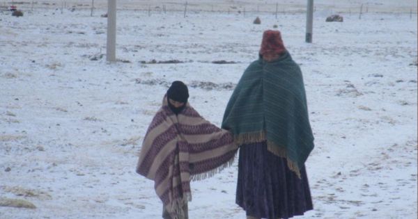 Senamhi advierte que temperatura nocturna en zonas andinas del país bajará: ocho departamentos en alerta