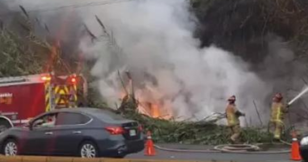 Costa Verde: incendio de grandes proporciones provoca cierre temporal de carriles