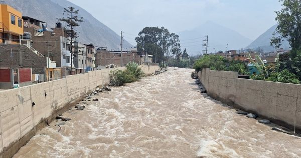 Río Rímac: Autoridad Nacional de Infraestructura verifica estado de intervenciones en puntos críticos