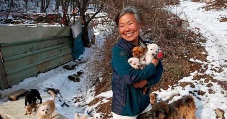 Portada: Mujer rescata a 200 perros que iban a ser vendidos a restaurante como alimento