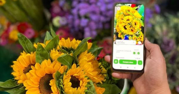 Mercado Mayorista de Flores: clientes ahora adquieren sus productos a través de aplicativo y web