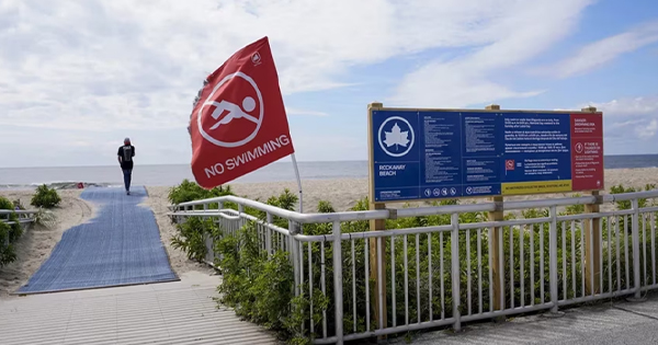 Portada: Mujer se encuentra en estado crítico luego de ser atacada por un tiburón en playa de Nueva York