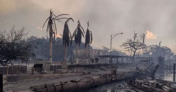 Gobernador de Hawái advierte que número de muertes por incendios "aumentará significativamente"