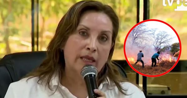 Portada: Dina Boluarte responsabilizó a pobladores por los incendios forestales: "Nuestra logística es pobre"