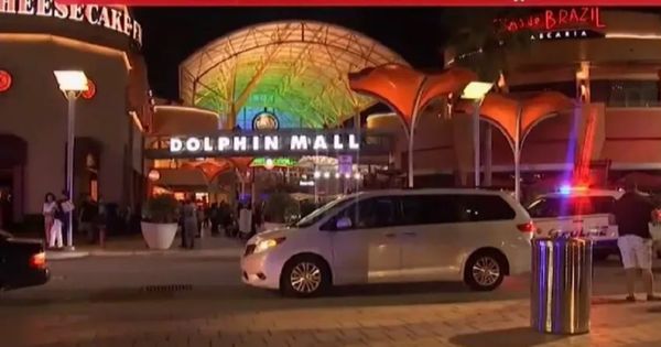 Portada: Estados Unidos: pánico en el Dolphin Mall tras falsos reportes de un hombre armado