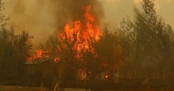 Portada: Chile: gobernador de Valparaíso confirma que incendios fueron intencionales