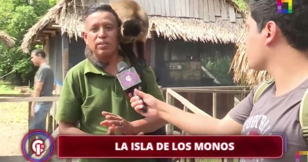 Portada: 'Crónicas de Impacto' llegó hasta la isla de los monos en Pucallpa