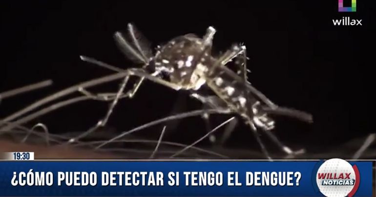 ¡ATENCIÓN! ¿Cómo puedo detectar si tengo el dengue?