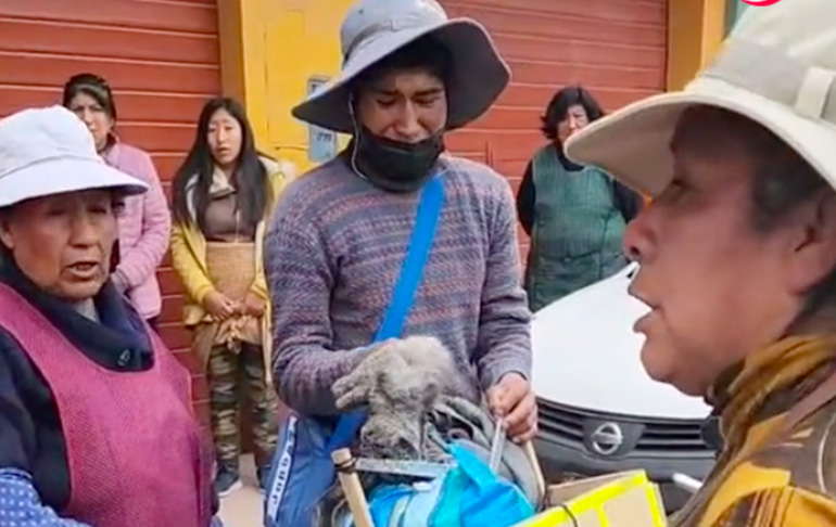 Vándalos golpean salvajemente a joven que no quiso sumarse a protestas y dejan a su gatito al borde de la muerte en Juliaca