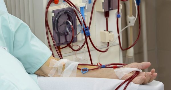 Portada: Enfermedad renal crónica: diagnóstico temprano puede salvar la vida de pacientes