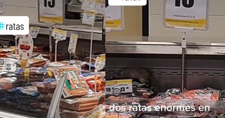 Denuncian presencia de ratas en la sección embutidos de Metro en Chorrillos