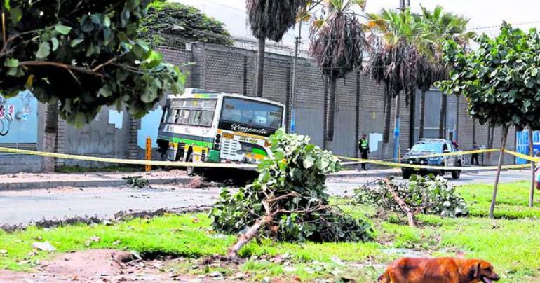 Portada: ¡Tragedia en el Callao! Profesora fallece tras saltar de un bus al que se le vaciaron los frenos