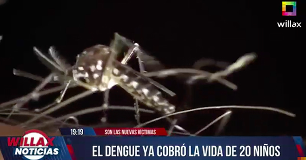 Piura: dengue cobra la vida de más de 20 niños