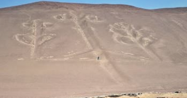 ¡INDIGNANTE! Mincul denuncia que sujeto causó daños al Candelabro de Paracas