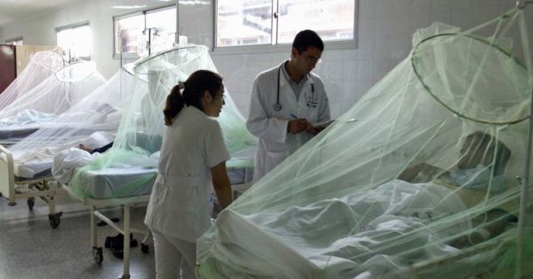 Minsa sobre casos de dengue en Piura: "Es imposible decir que la cifra está descendiendo"