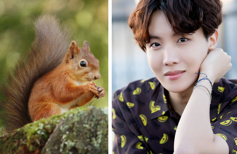 Portada: J – Hope, integrante de BTS, recibe inusual regalo de cumpleaños de sus fans