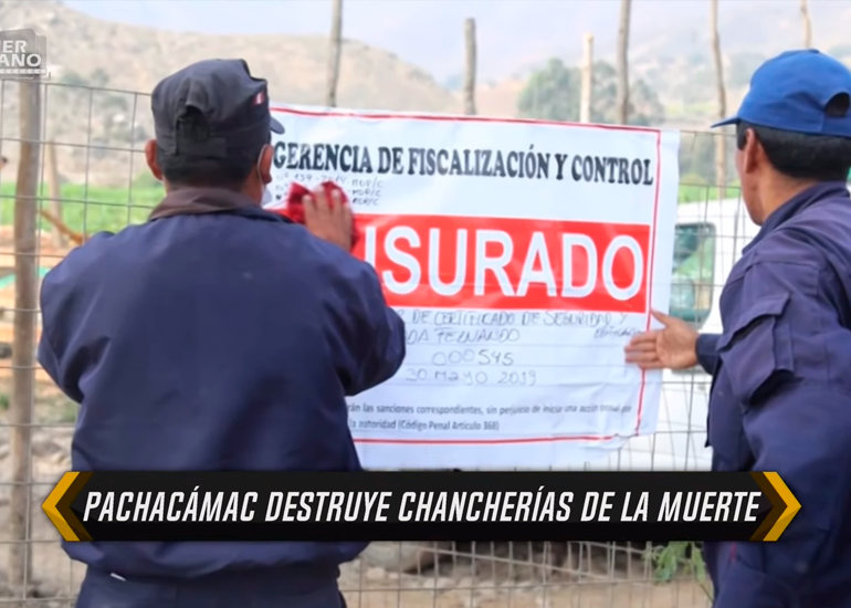 Portada: Intervienen ‘chancherías de la muerte’ en Pachacámac