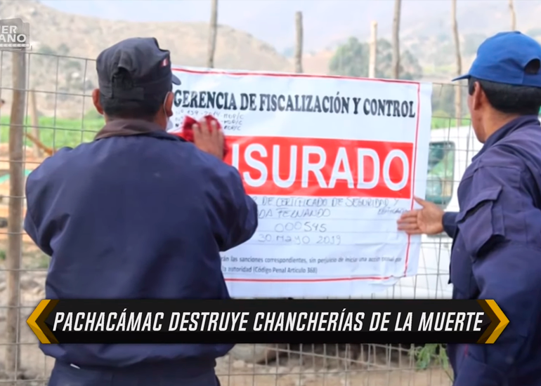 Intervienen ‘chancherías de la muerte’ en Pachacámac