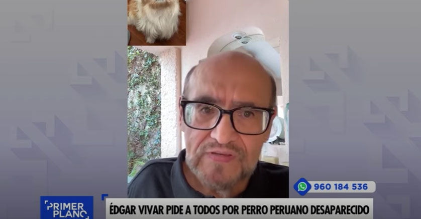 Édgar Vivar pide a todos por perro peruano desaparecido