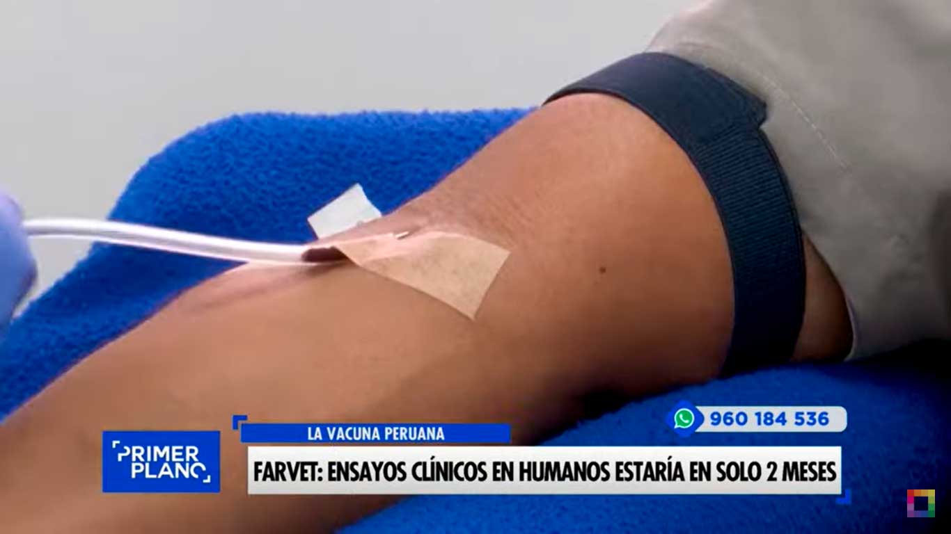 Farvet: Ensayos clínicos en humanos estarían en solo 2 meses