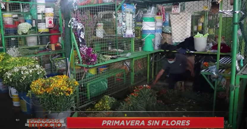 Crónicas de Impacto: Primavera sin flores