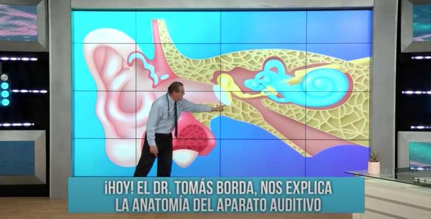 Portada: Dr. Borda: "Los hisopos son la principal causa de las infecciones al oído"