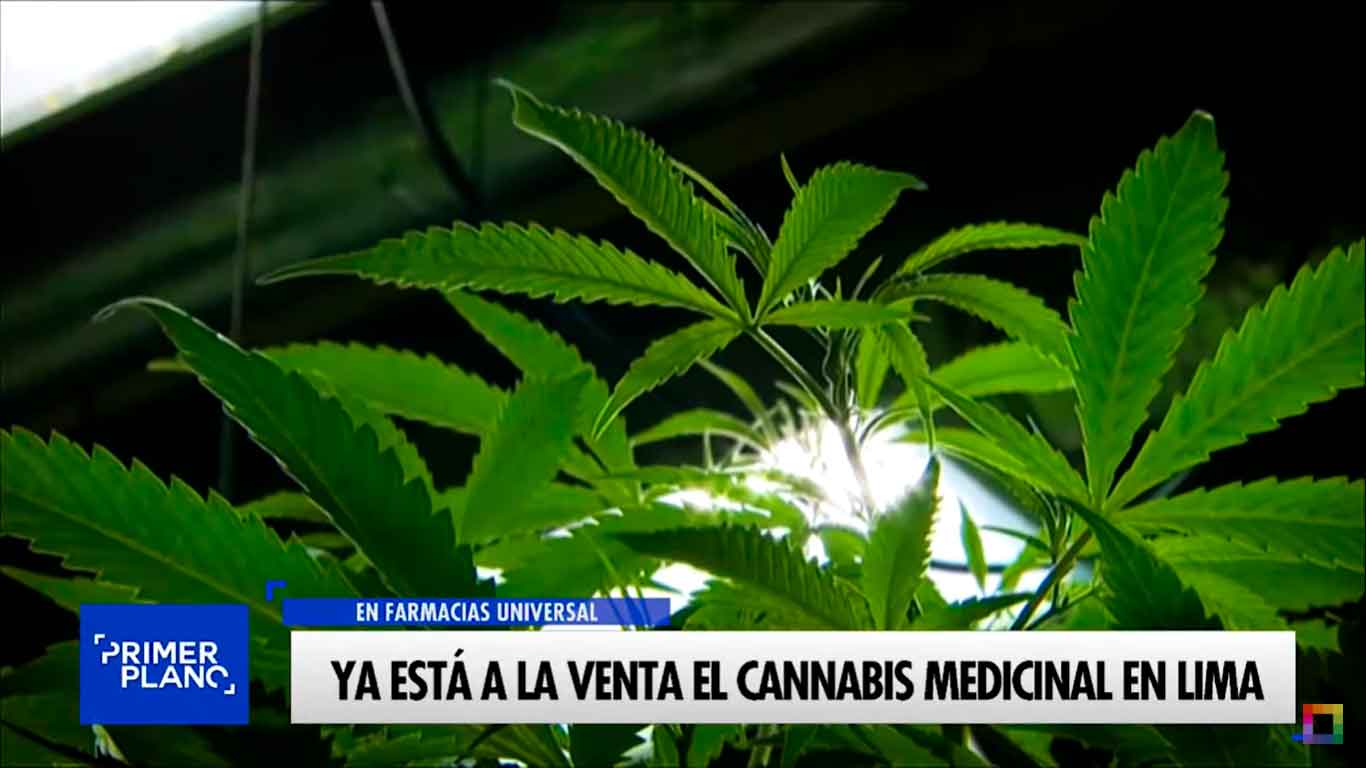 Ya está a la venta el cannabis medicinal