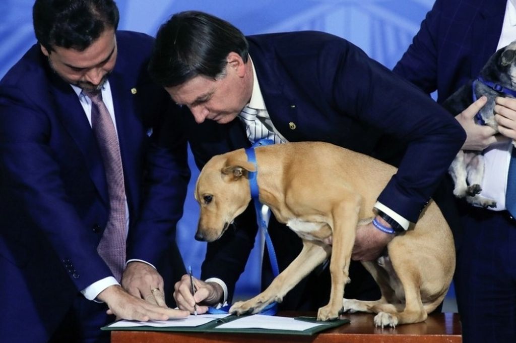 Bolsonaro promulgó una ley contra el maltrato animal e hizo “firmar” a su perro