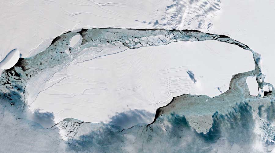 Atlántico Sur: Iceberg gigante amenaza hábitat de pingüinos y focas