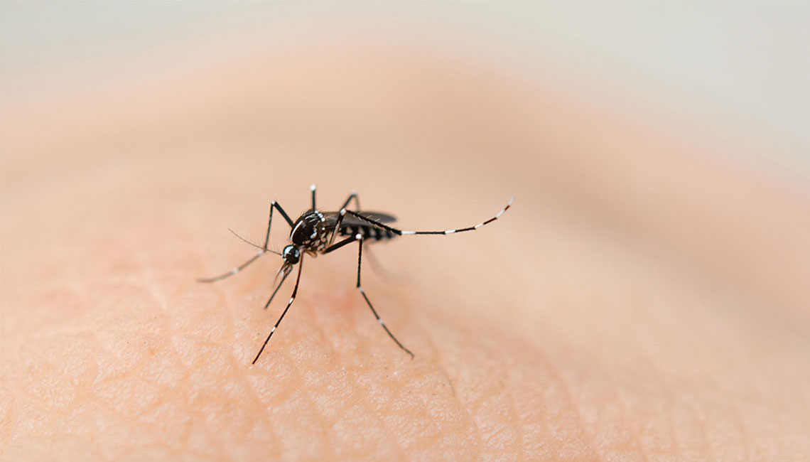 Minsa emite alerta epidemiológica en el país tras aumento de casos de dengue