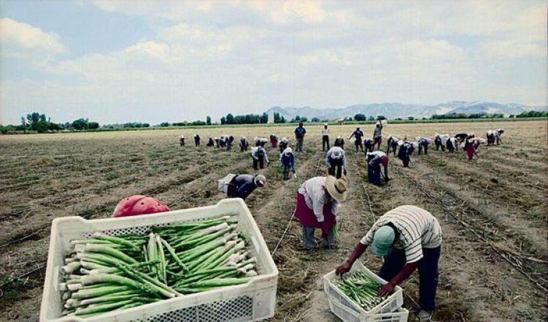 Pleno del Congreso aprobó nuevo texto sustitutorio sobre ley agraria