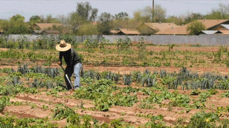 Portada: Congreso: Comisión de Economía aprobó dictamen de nueva ley agraria