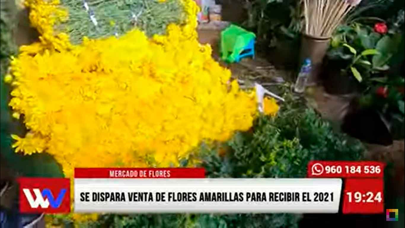 Portada: Se dispara venta de flores amarillas