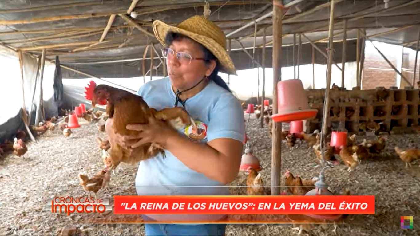 Portada: Crónicas de Impacto: "La reina de los huevos", en la yema del éxito