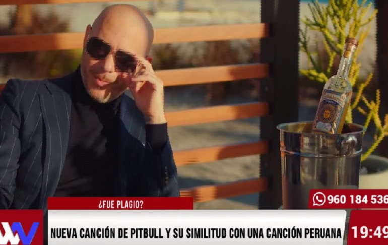 Nueva canción de Pitbull y su similitud con una canción peruana