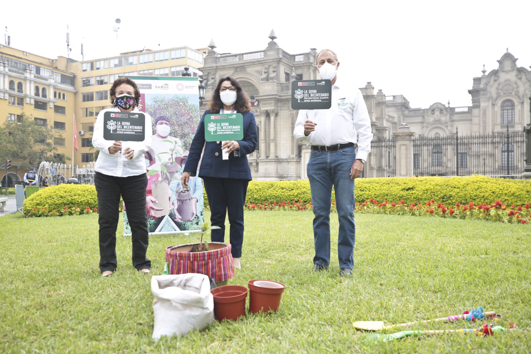 Ejecutivo lanzó campaña para poner en valor árbol de la quina