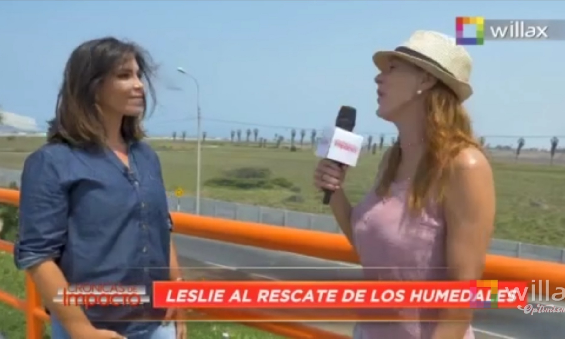 Portada: Crónicas de Impacto: Leslie al rescate de los humedales