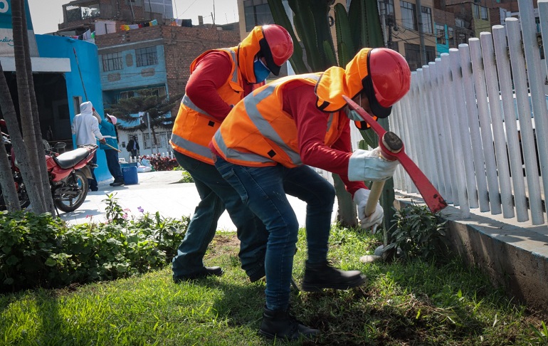 Carmen de La Legua-Reynoso: Generan más de 110 puestos de empleos temporales