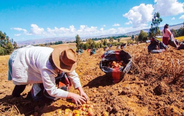 Pleno descentralizado del Congreso aprueba ley que declara de interés nacional la emergencia alimentaria