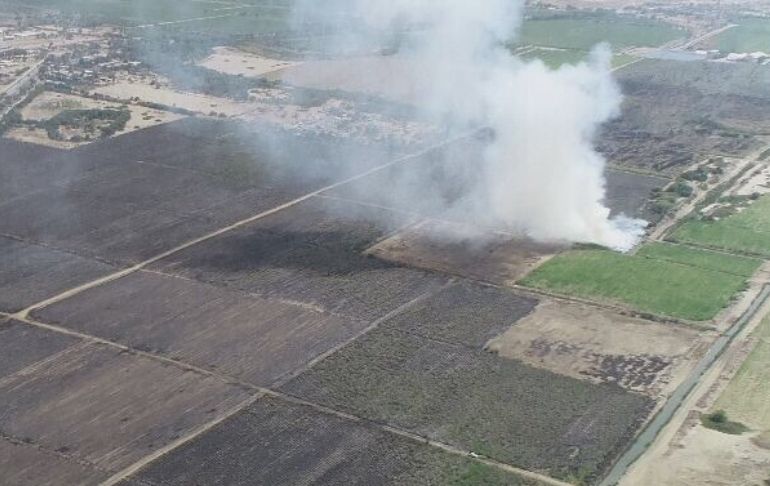 Piura: Vándalos incendian 100 hectáreas de caña de azúcar y generan pérdida de más de un millón de dólares a Caña Brava