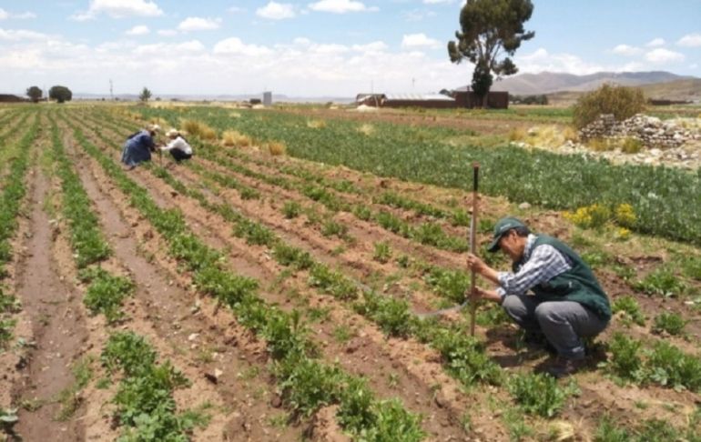 Portada: Pedro Castillo anunció Declaratoria de Emergencia del Agro Nacional