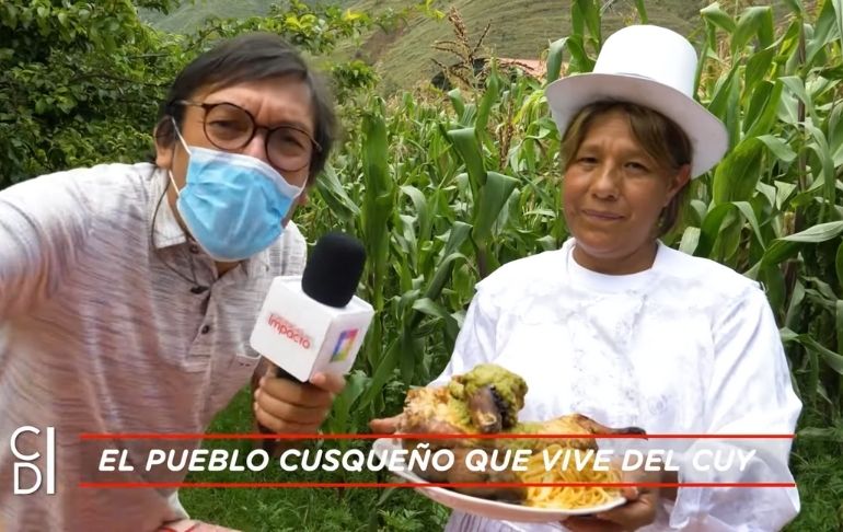 Portada: Pucyura: descubre el pueblo cusqueño que vive del cuy | VIDEO