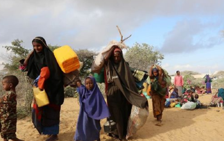 Sequía en Somalia coloca a seis regiones en riesgo de hambruna
