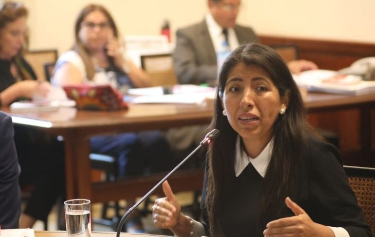 ARCC: Ejecutivo destituye a Amalia Moreno del cargo de directora
