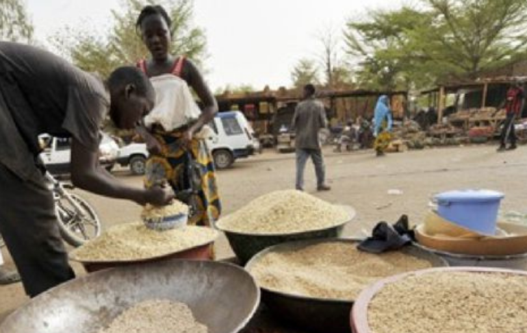 Rusia rechaza que la amenaza de crisis alimentaria haya surgido por la guerra en Ucrania