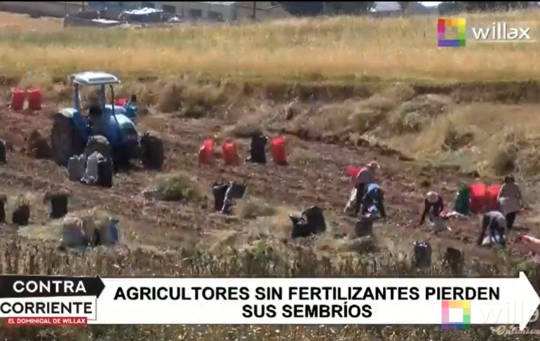 Portada: Crisis por alza de fertilizantes azota a agricultores peruanos del Valle del Mantaro [VIDEO]